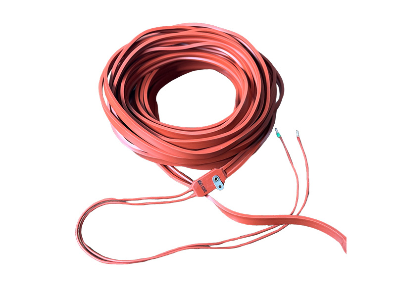 Flexible Heaters for Custom Applications.jpg