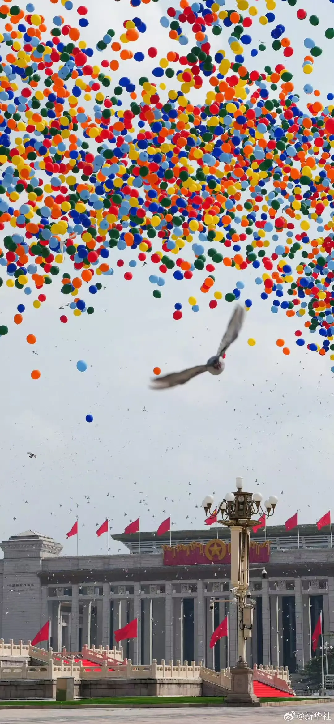 e6948e0ddc70b51b9b5e17b46fa53be1